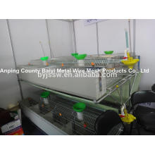 Layer Rabbit Cage Poultry Equipment